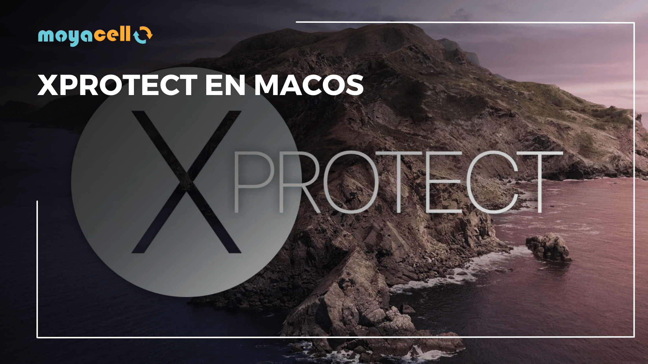 XProtect