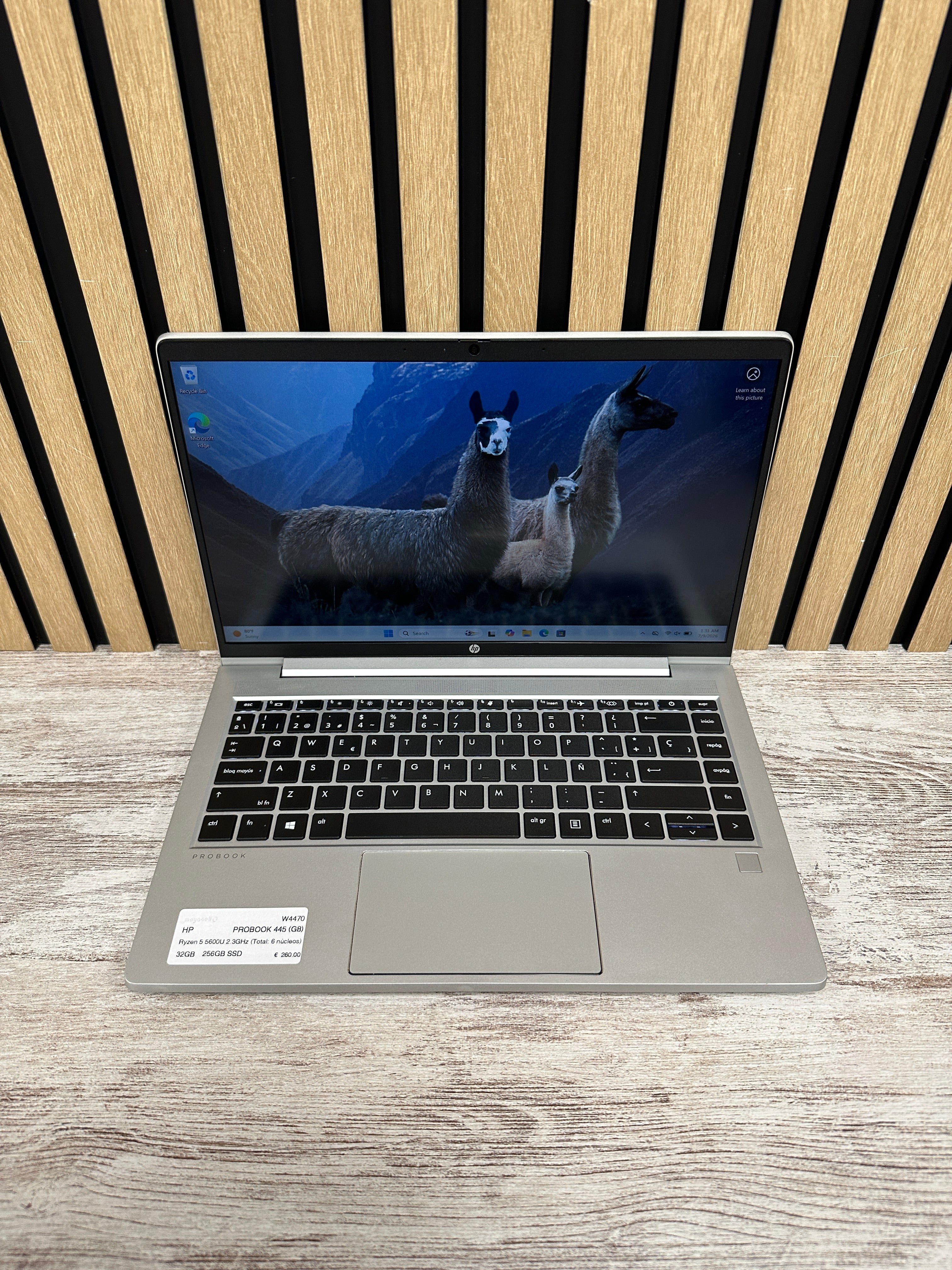 HP PROBOOK 445 (G8) Ryzen 5 32GB 256GB SSD 14" - Moyacell