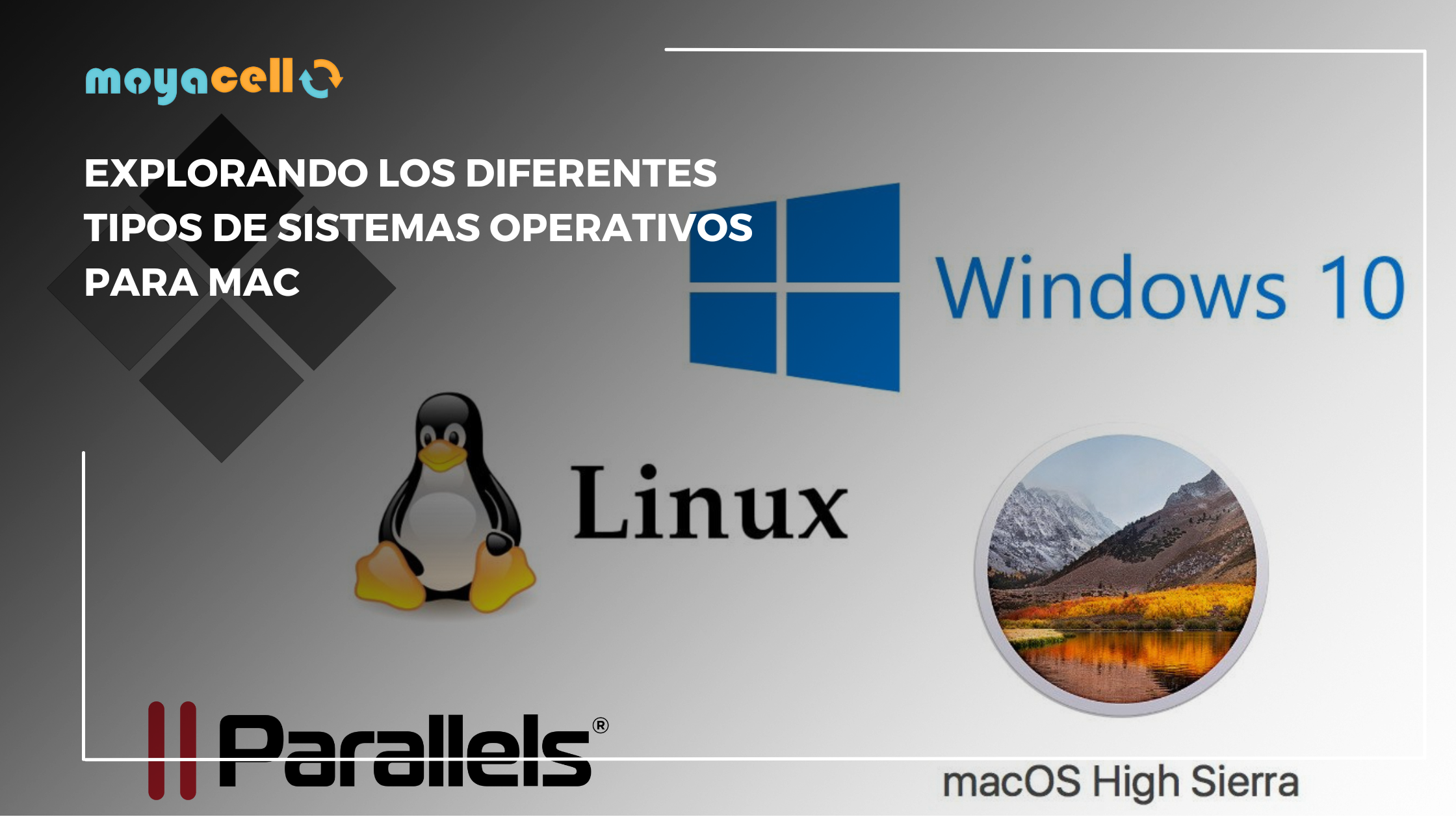 Tipos de Sistemas Operativos para Mac