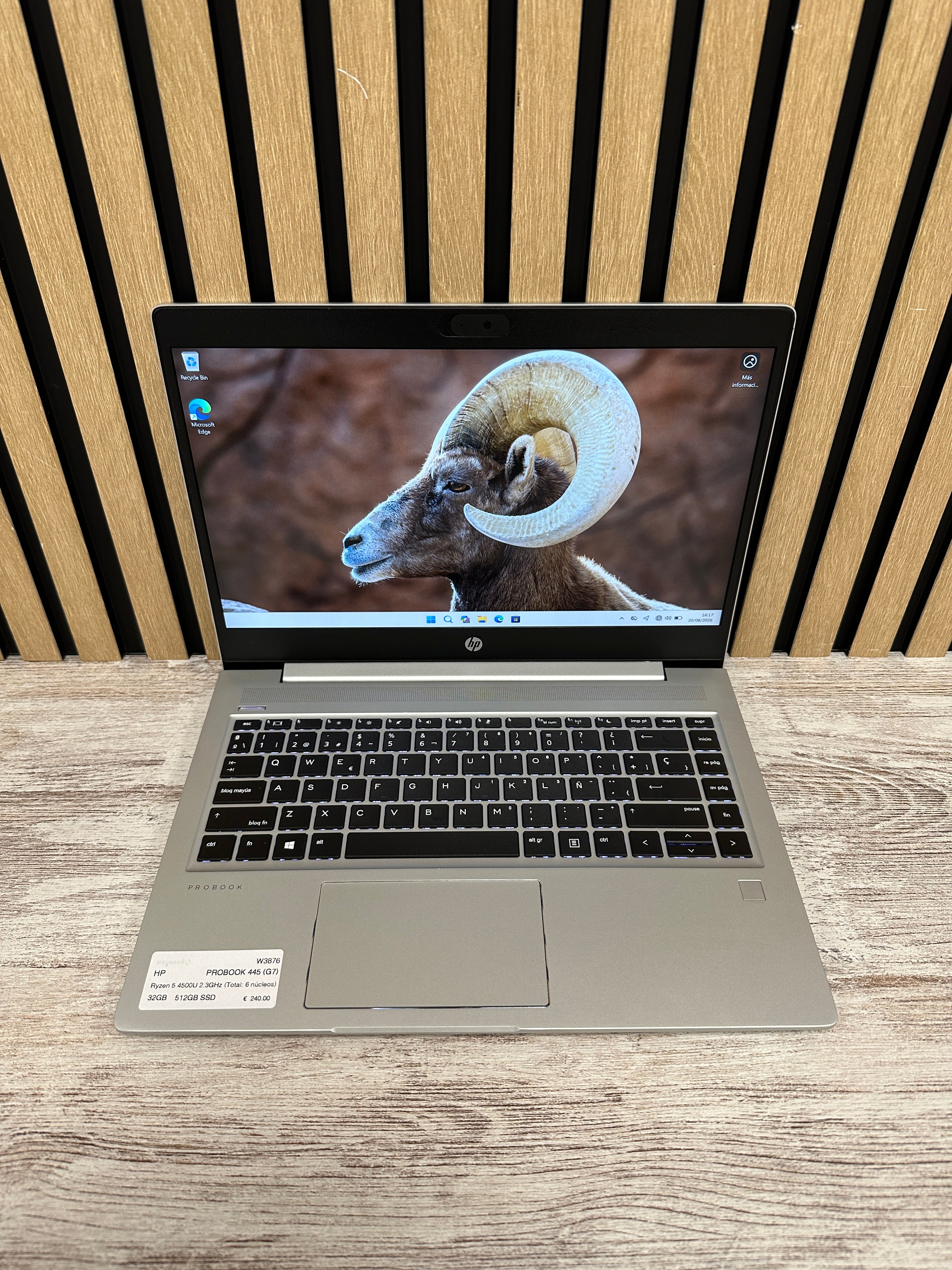 HP PROBOOK 445 (G7) - (Win 11 Home) Ryzen 5 32GB 512GB SSD 14" - Moyacell